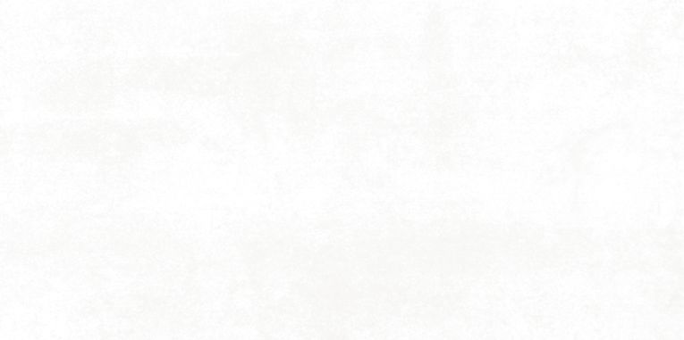 Wandfliese 30x60 cm grauweiß lüstern
Steuler 30145 Speed grauweiß 
( Aktionfliese )  
Art: A17480
